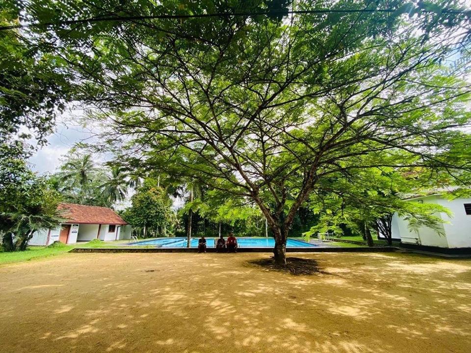 Randiyaepiliyagoda Resort Avissawella Buitenkant foto