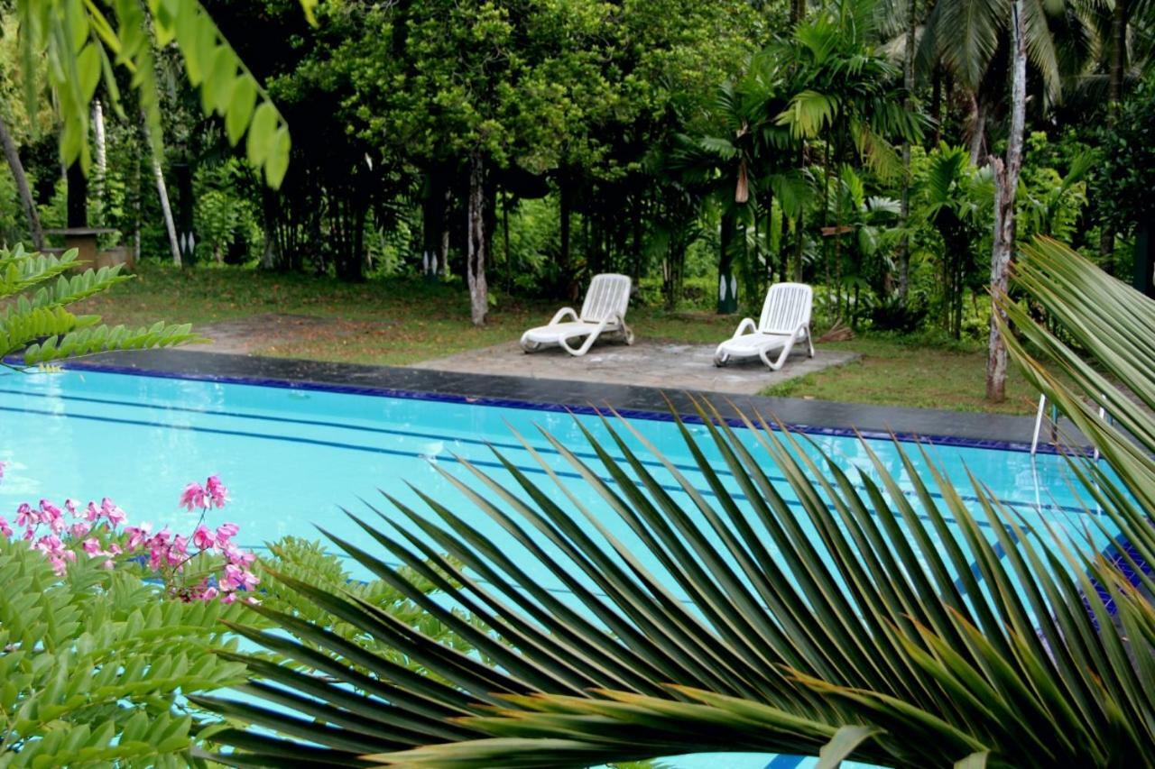 Randiyaepiliyagoda Resort Avissawella Buitenkant foto